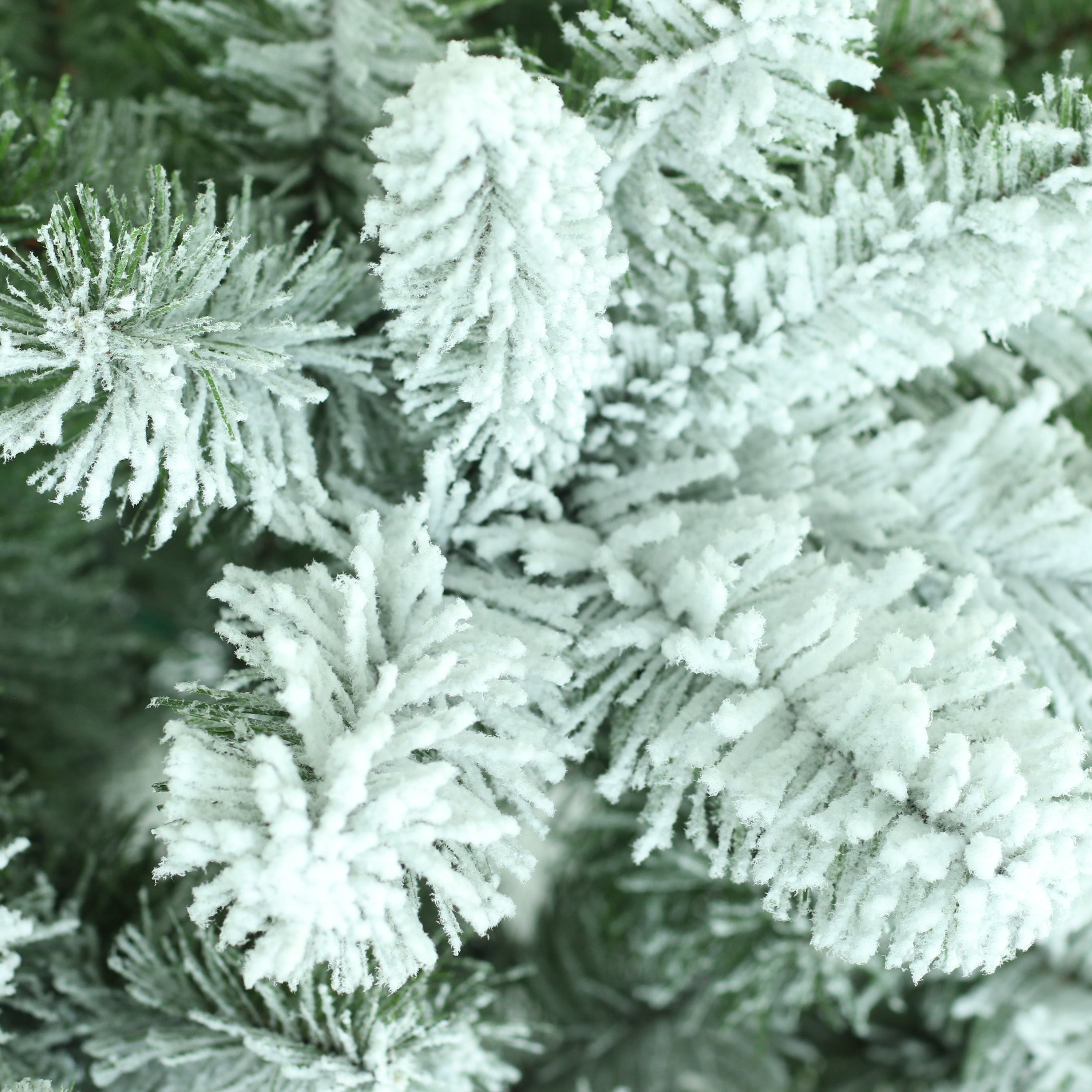 9ft Flocked Virginia Pine Tree